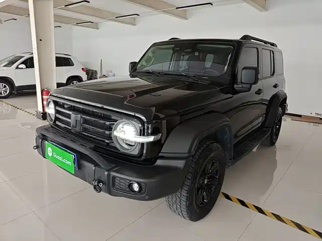 Tank 300