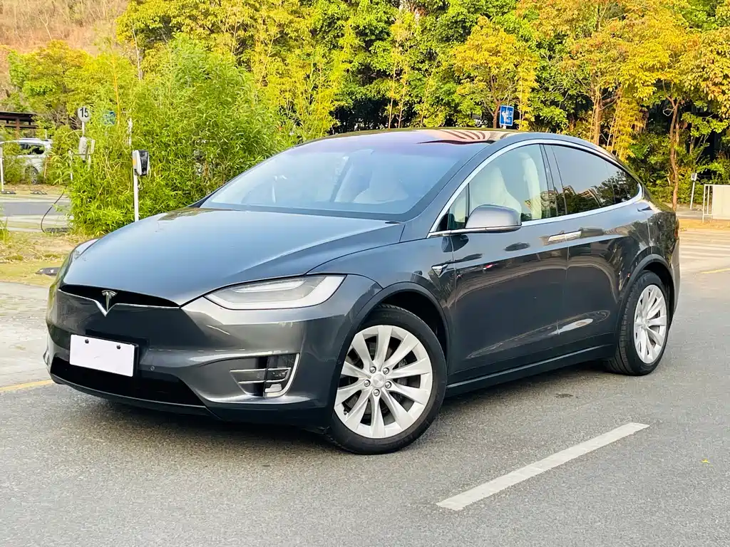 Tesla Model X 2019