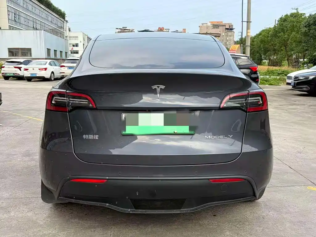Tesla Model Y — миниатюра 8