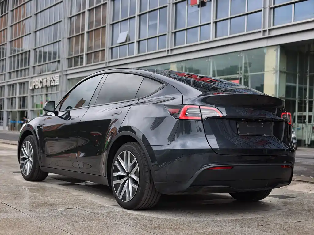 Tesla Model Y — миниатюра 6