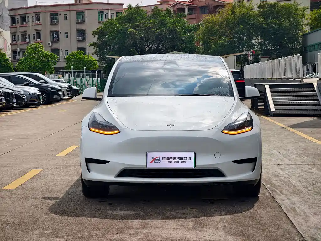 Tesla Model Y — миниатюра 3