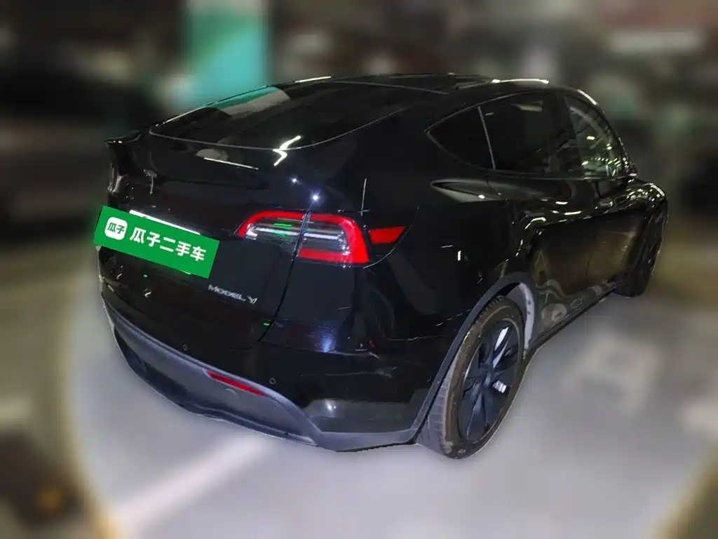 Tesla Model Y — миниатюра 4