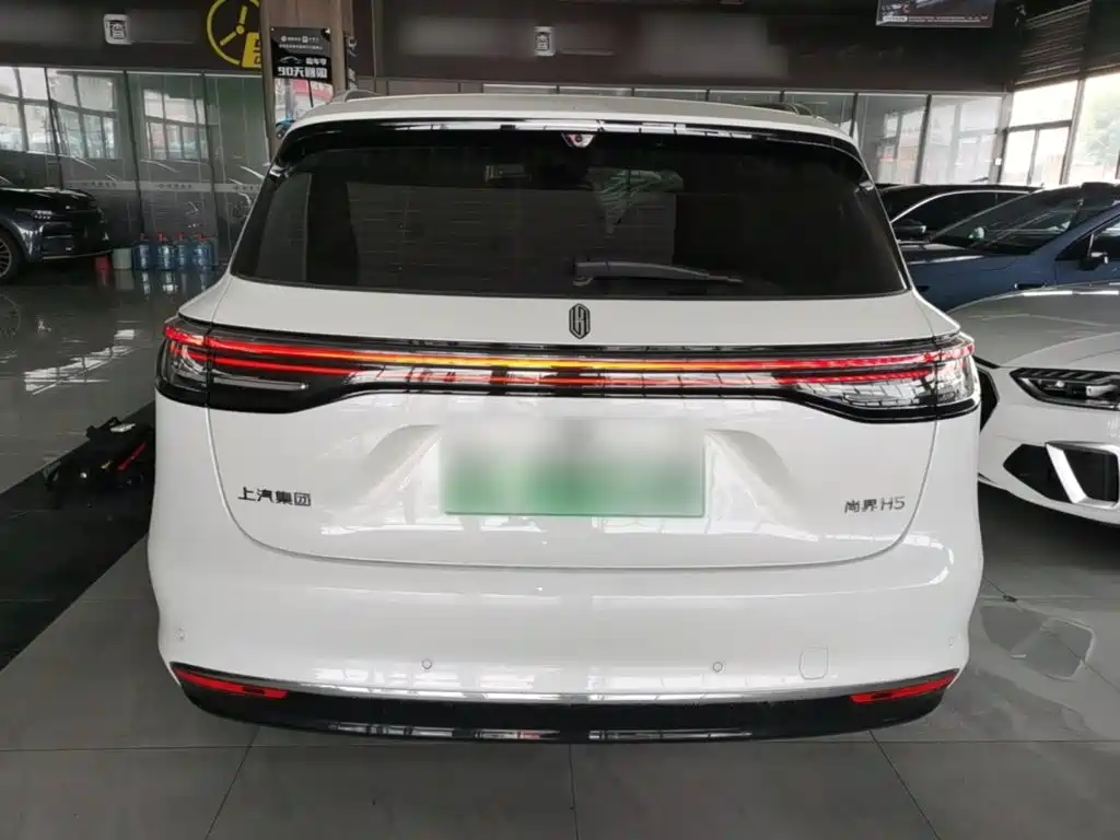 Сангтан Sangtang H5 — миниатюра 6