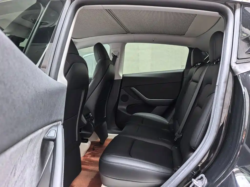 Tesla Model Y — миниатюра 10