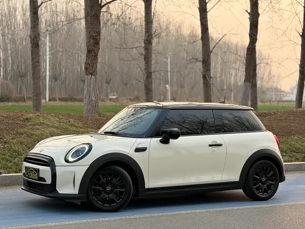 Mini Mini 2022