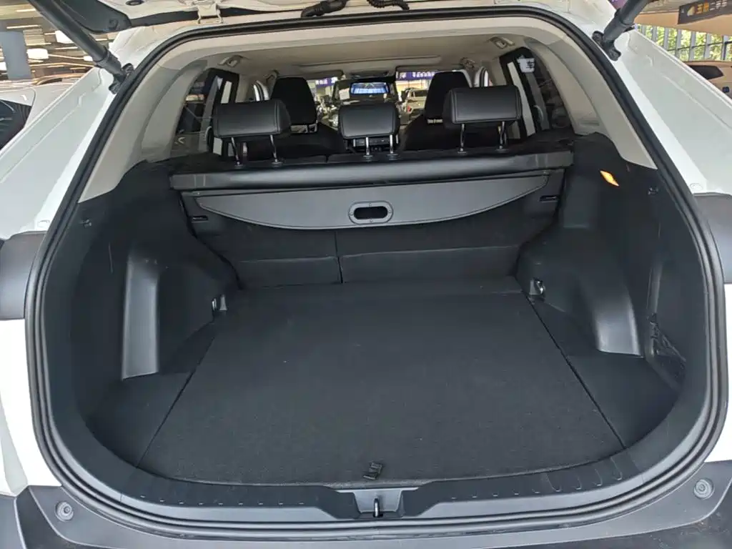 Toyota Wildlander — миниатюра 19