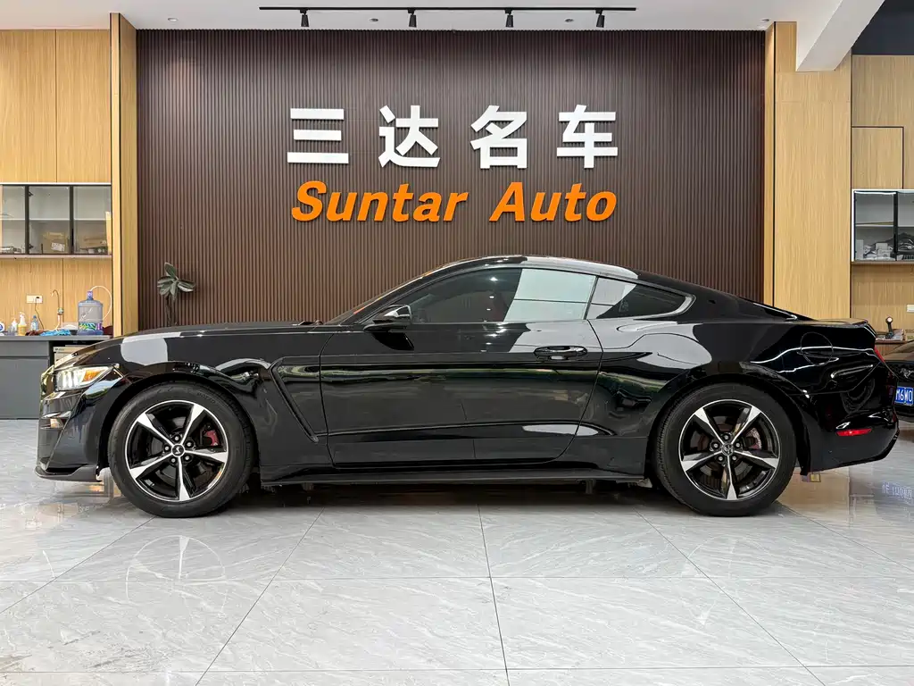 Ford Mustang — миниатюра 7