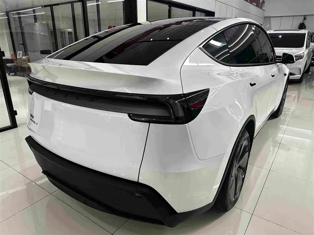 Tesla Model Y — миниатюра 17