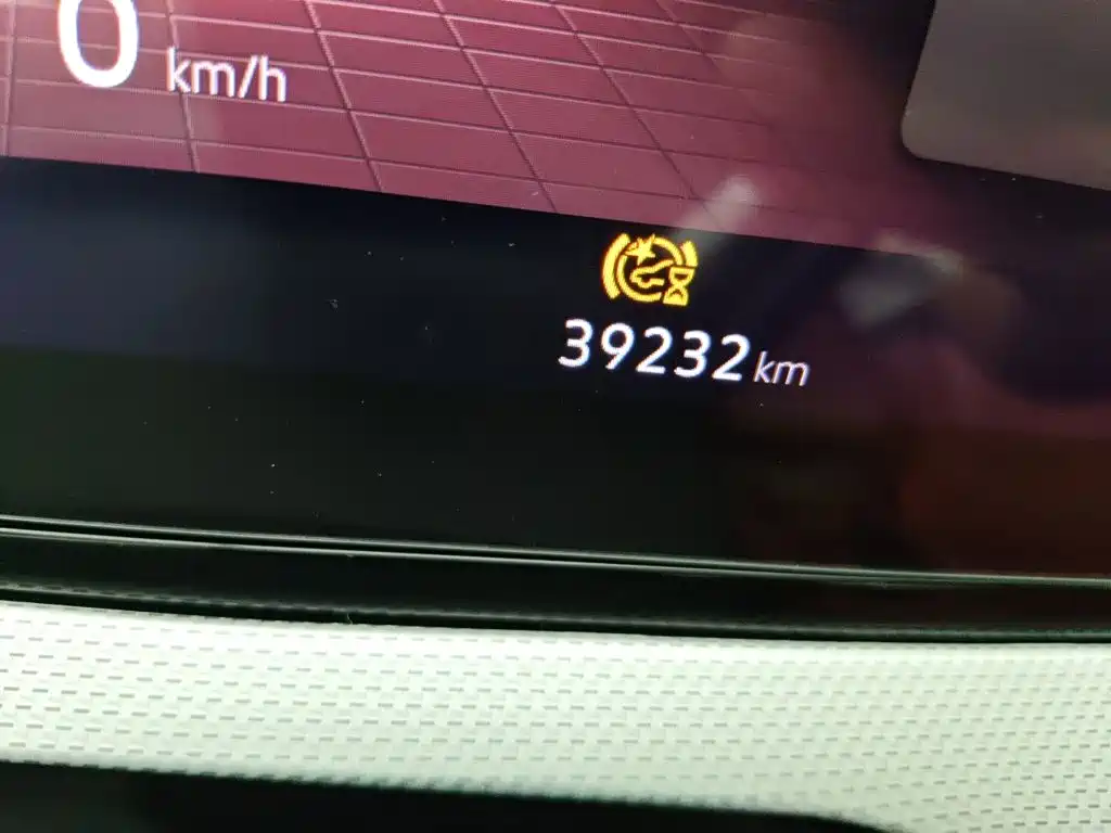 Volkswagen Lamando — миниатюра 5