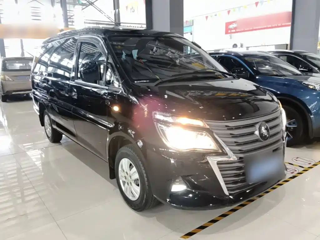Fengxing Lingzhi — миниатюра 4