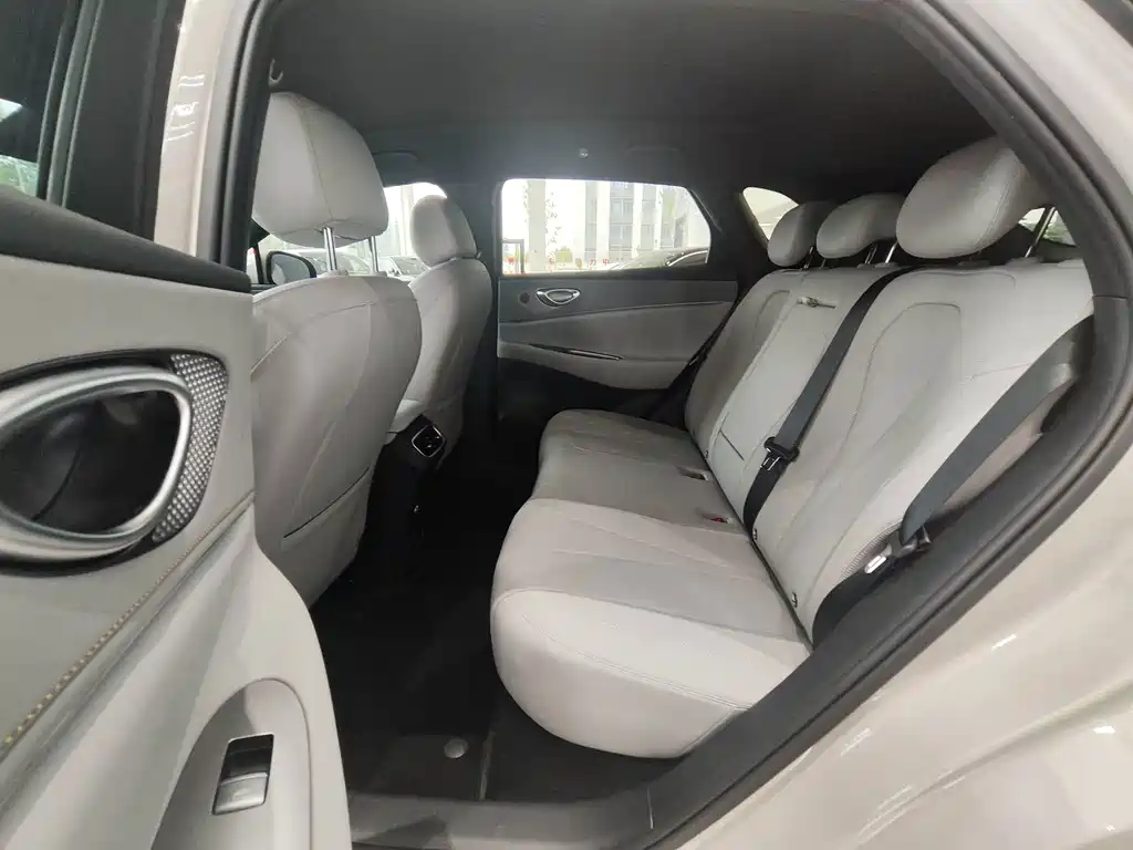 BYD Haisi 06 — миниатюра 10