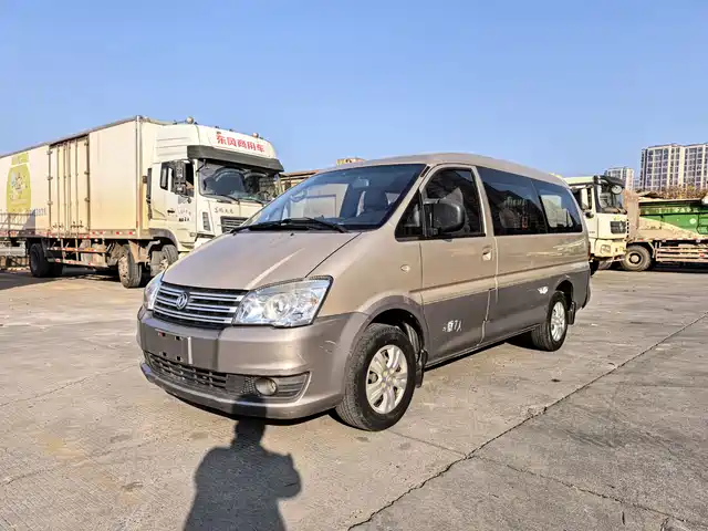 dongfeng lingzhi