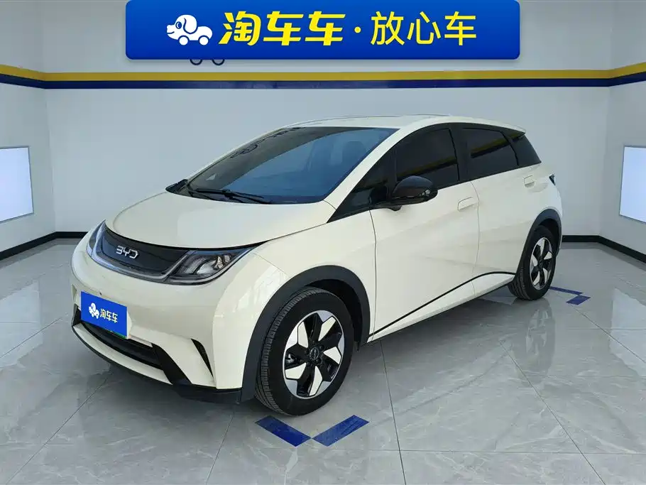 Byd Dolphin 2024