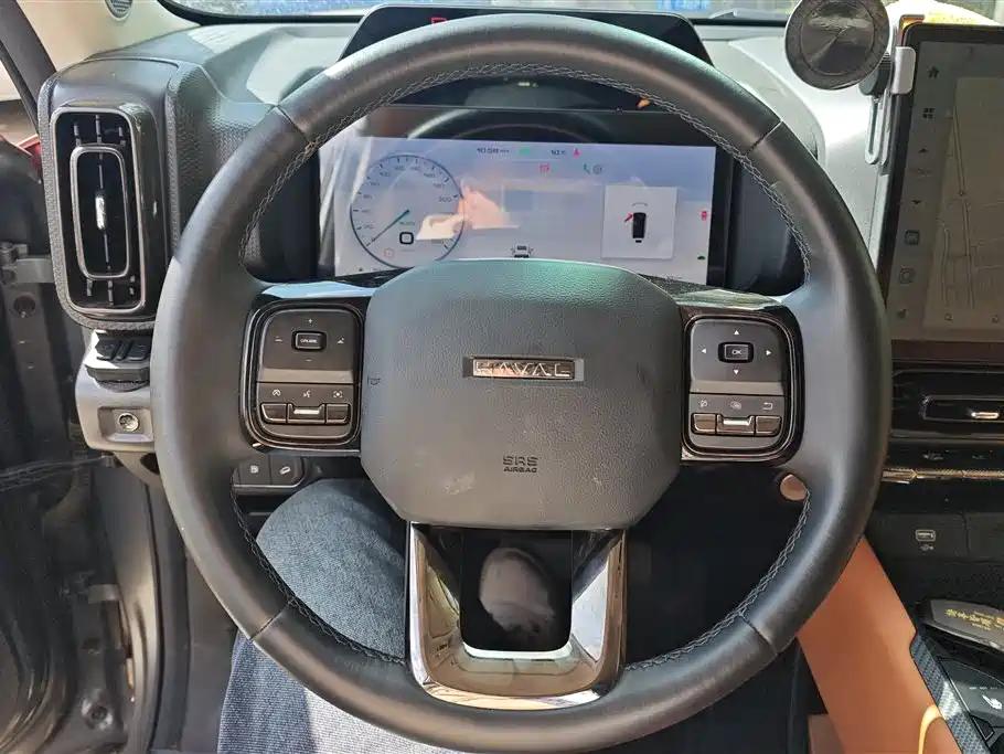 HAVAL RAPTORS NEW ENERGY