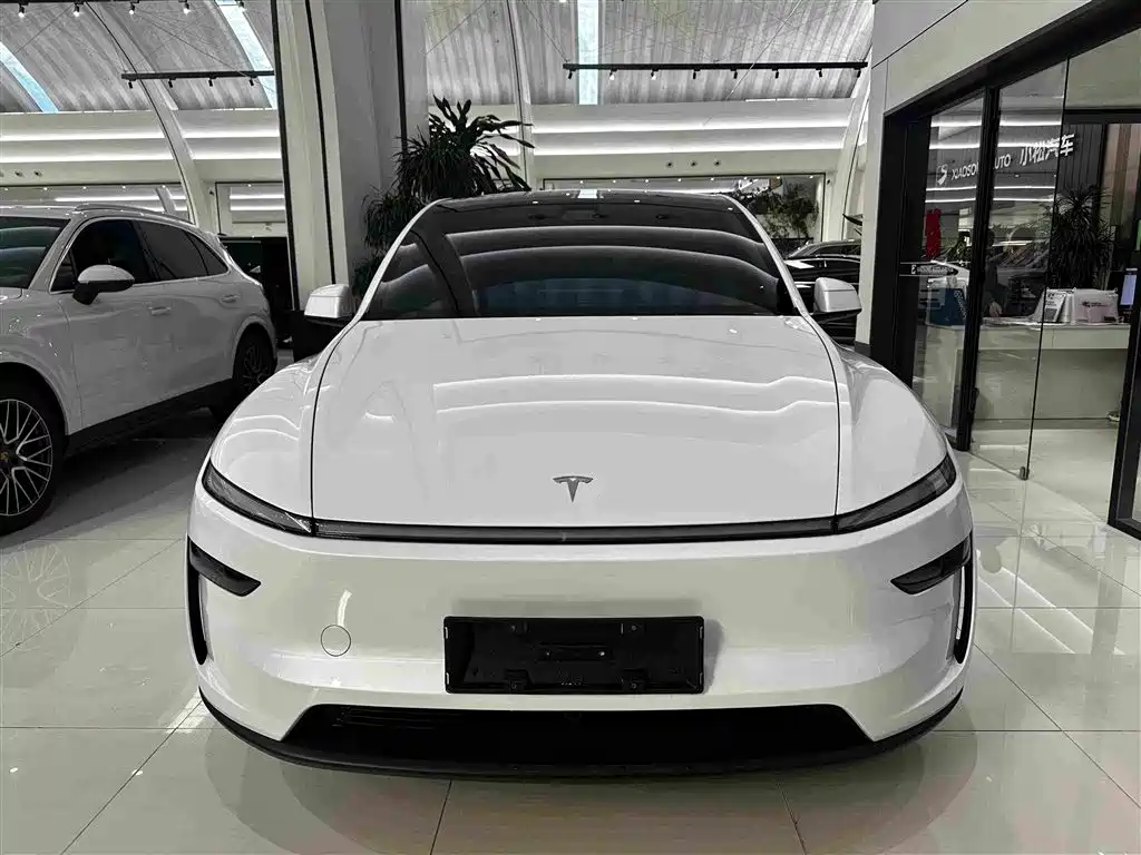 Tesla Model Y — миниатюра 2