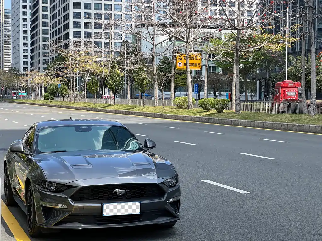 Ford Mustang — миниатюра 3