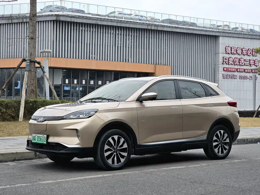 WM Motor EX5 2018