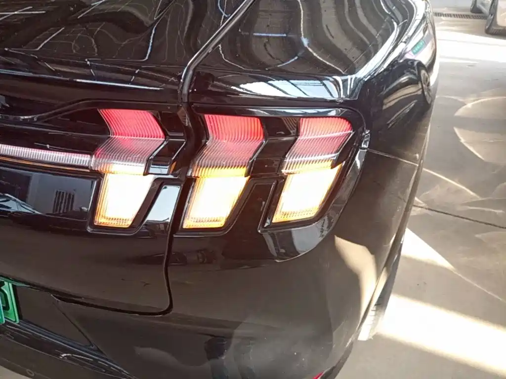 Ford Mustang Mach-E — миниатюра 8