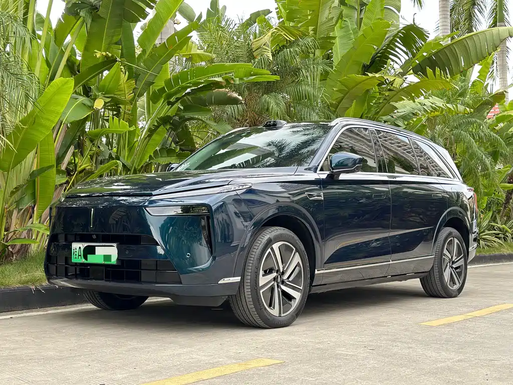 WEI PAI WEI BRAND BLUE MOUNTAIN