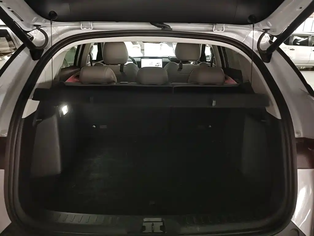 BYD Yuan Plus — миниатюра 19