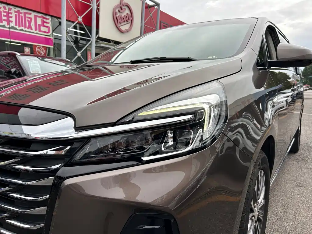 Buick GL8 — миниатюра 6