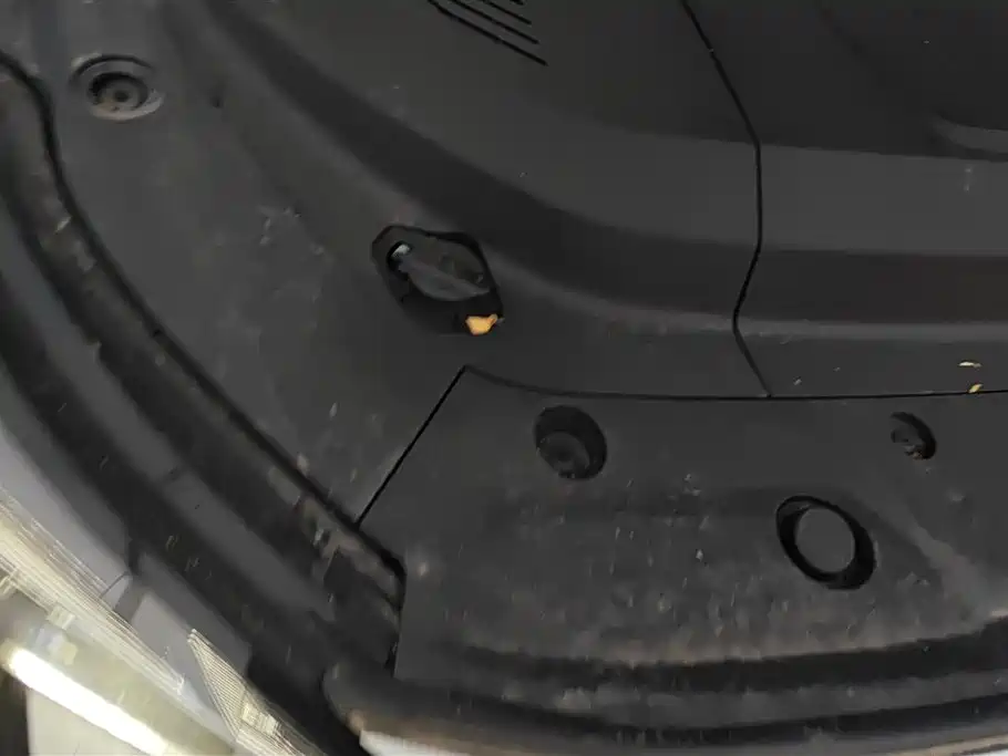 ARCFOX EXTREME FOX POLAR FOX ALPHA S5