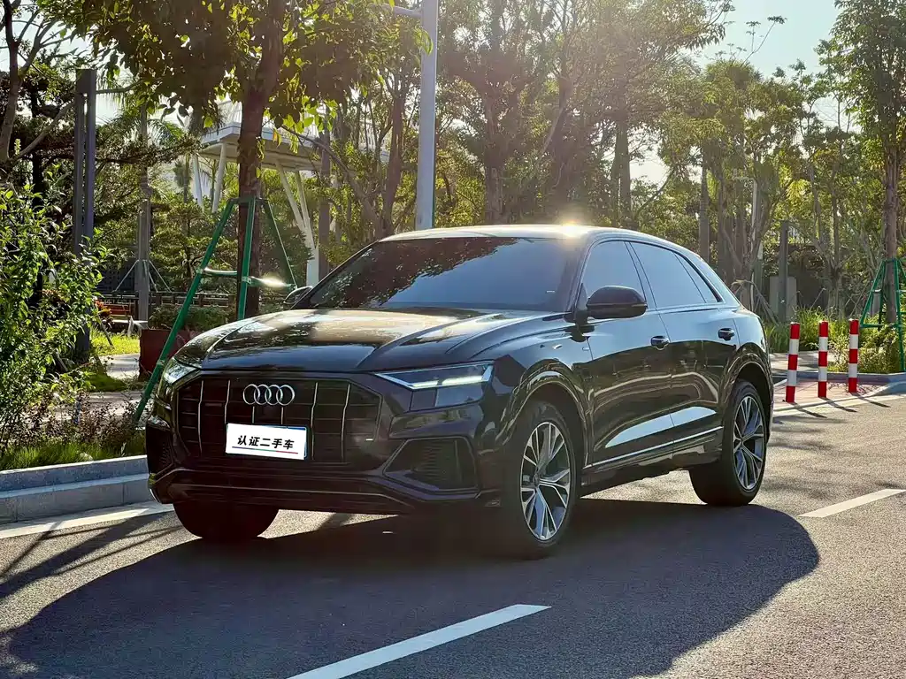 Audi Q8 2021 55 TFSI Luxury