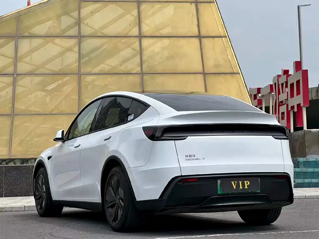 Tesla Model Y — миниатюра 7