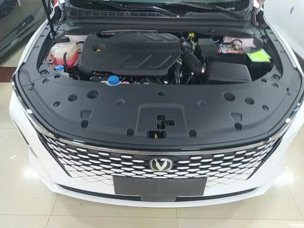 Changan Ruicheng PLUS — миниатюра 20