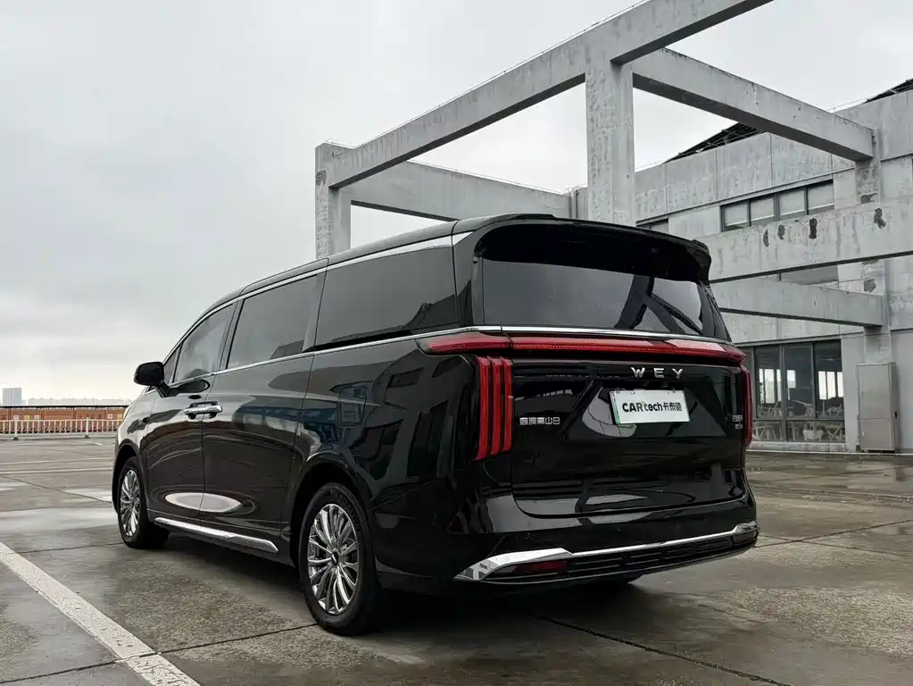 Wey Gaoshan New Energy 4WD High Mountain 8, фото 7
