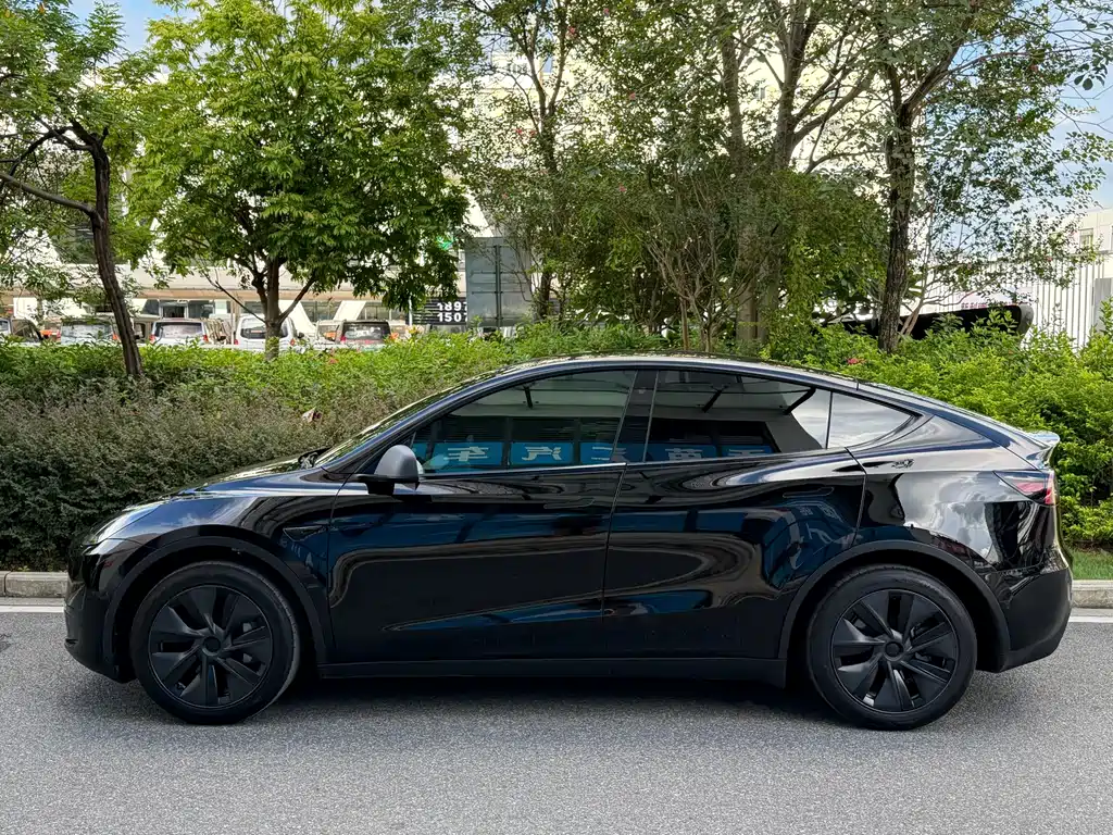Tesla Model Y — миниатюра 3