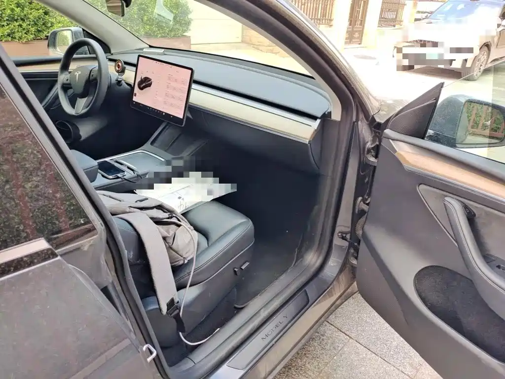 Tesla Model Y — миниатюра 20