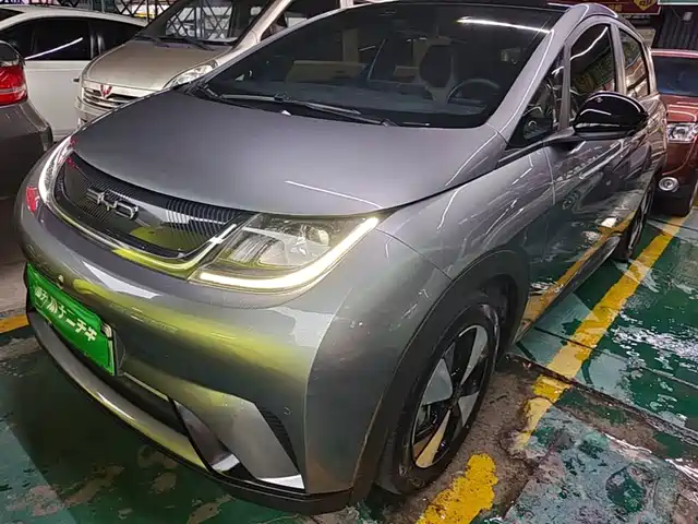 2024 BYD Dolphin