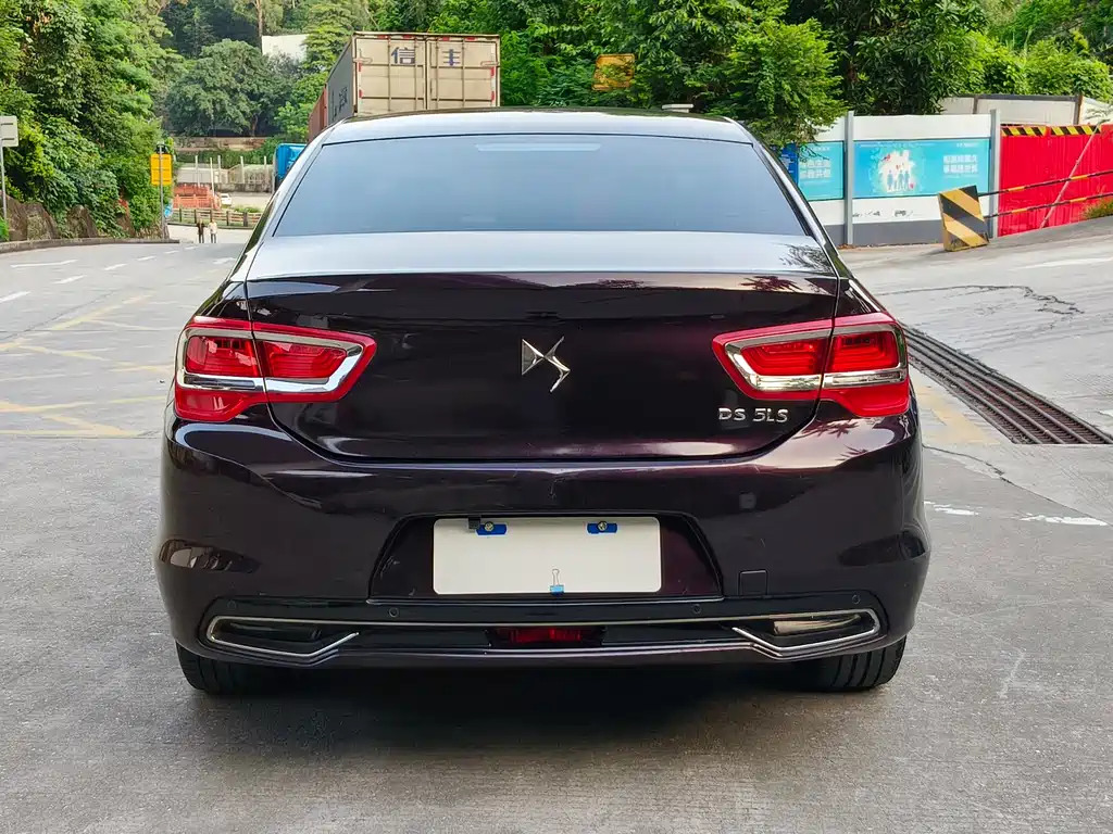 DS DS 5LS — миниатюра 5