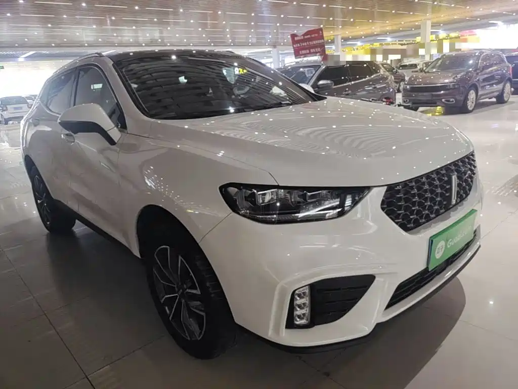 Wey Wey VV5 — миниатюра 4