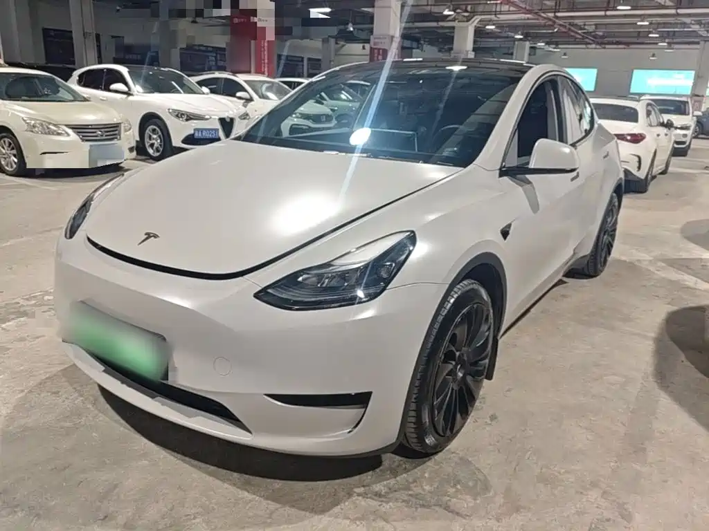 Tesla Model Y — миниатюра 2
