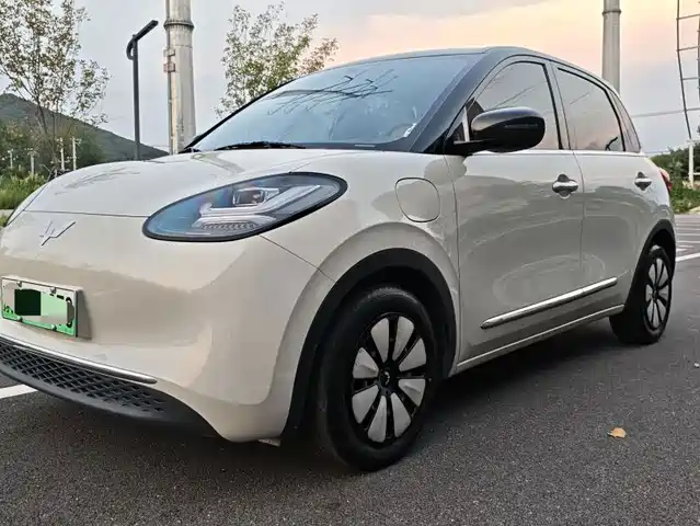 2024 Wuling Motors Binguo