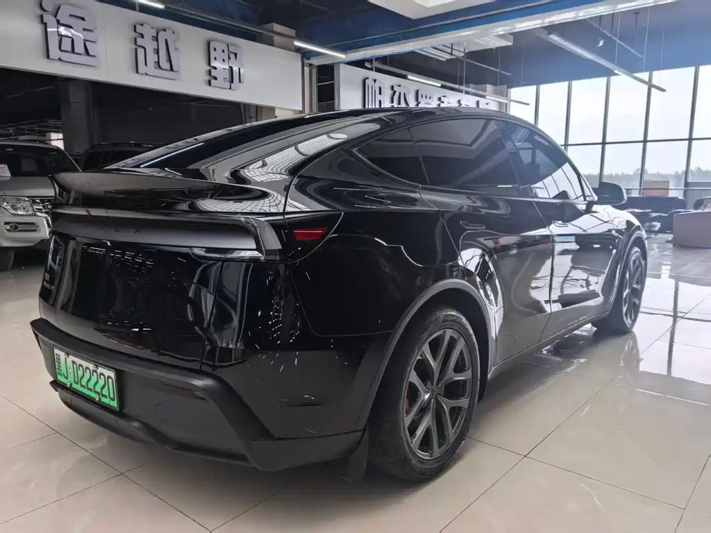 Tesla Model Y — миниатюра 4