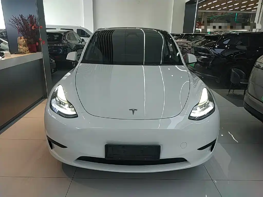 Tesla Model Y — миниатюра 3