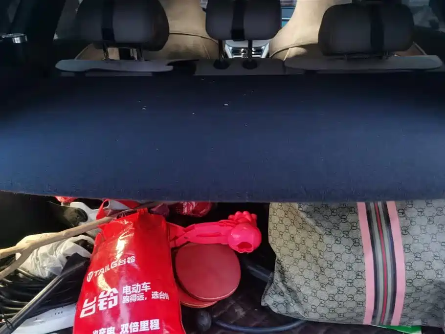 BYD SONGJIANG NEW ENERGY