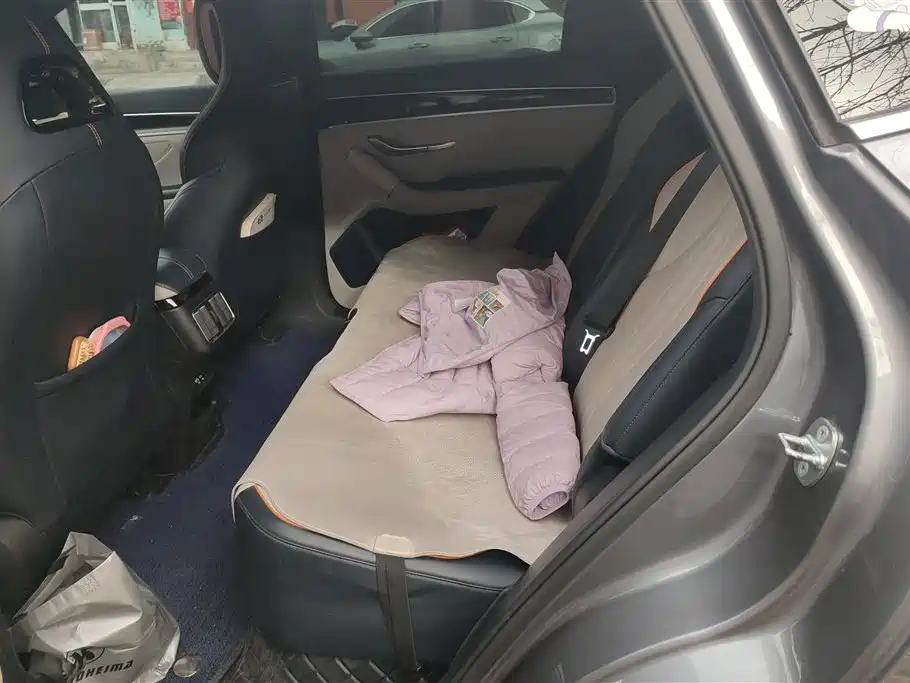 BYD SONGJIANG NEW ENERGY