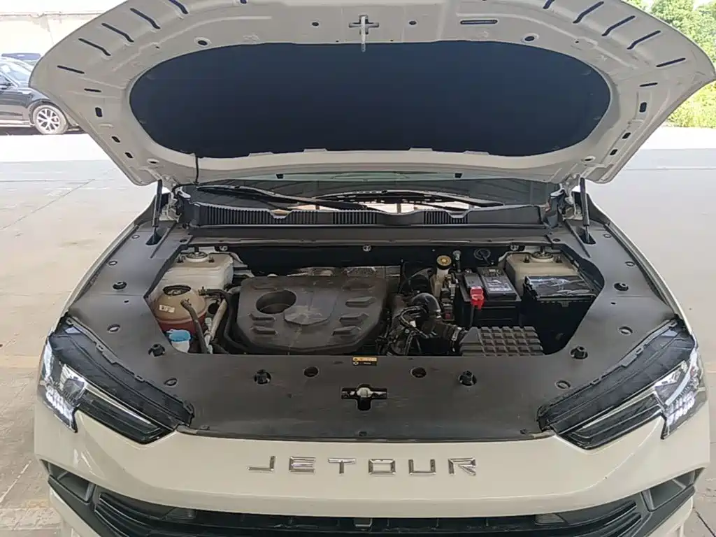 Jetour Dasheng — миниатюра 20