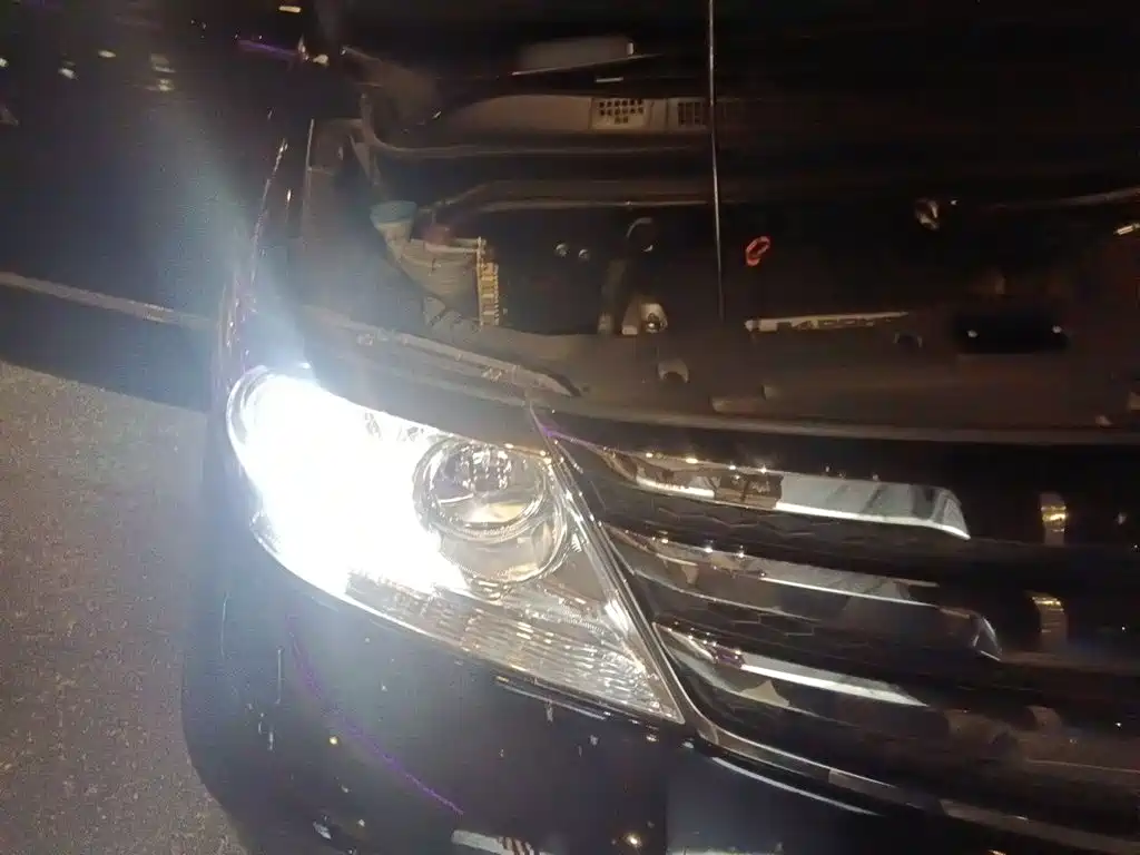 Honda Elysion — миниатюра 19