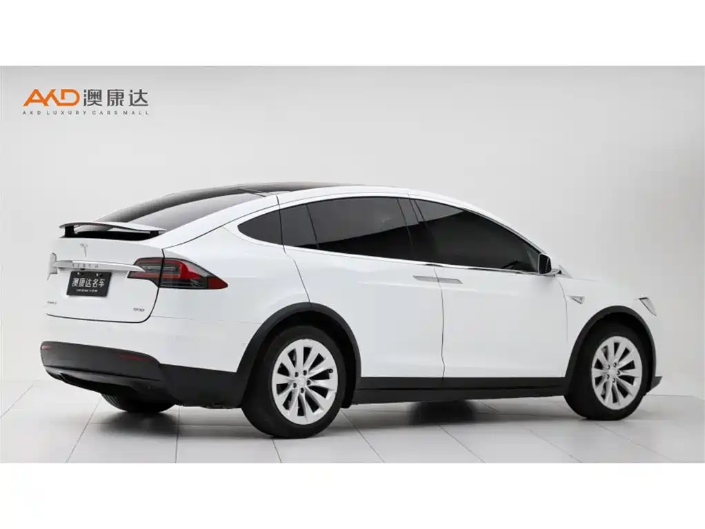 Tesla Model X — миниатюра 3