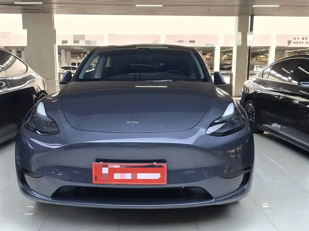 Tesla Model Y — миниатюра 2