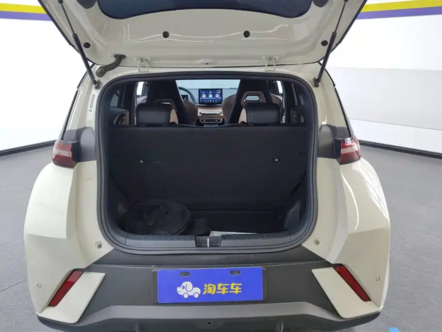 BYD Seagull
