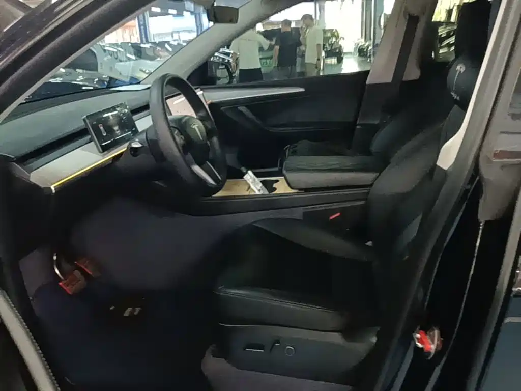 Tesla Model Y — миниатюра 15