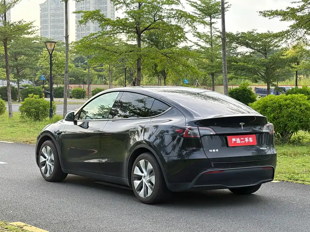 Tesla Model Y — миниатюра 7