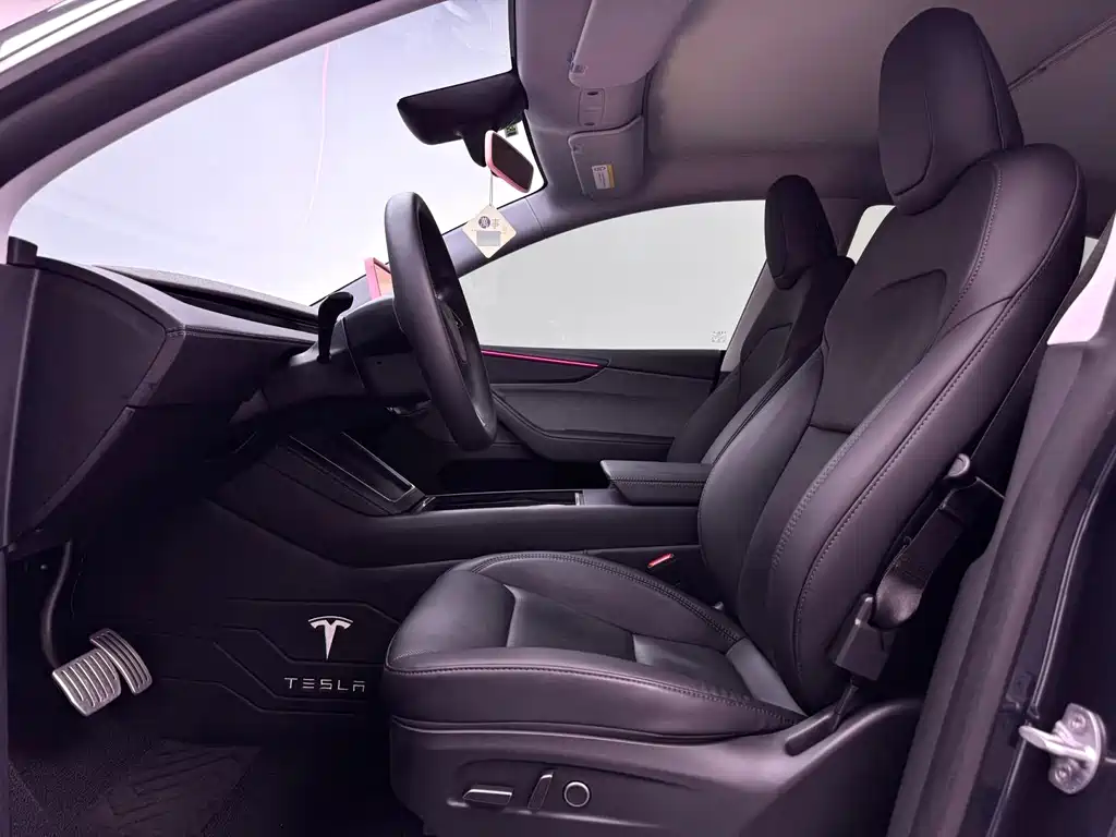 Tesla Model Y — миниатюра 4