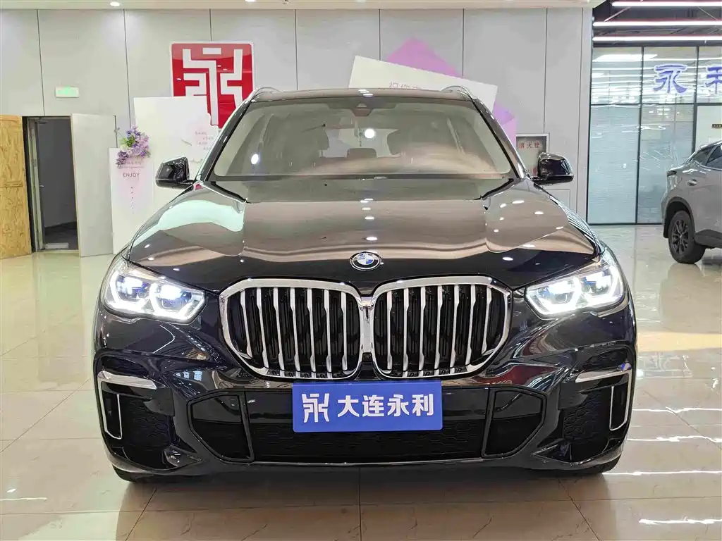 BMW X5 — миниатюра 2